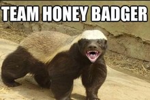 Team Honey Badger's avatar